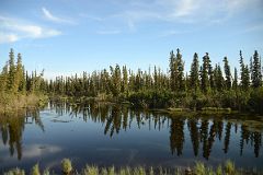 04E Trees Reflected In A Small Lake From The Dempster Dirt Highway Between MacKenzie River Ferry And Fort McPherson Northwest Territories On Day Tour From Inuvik To Arctic Circle.jpg